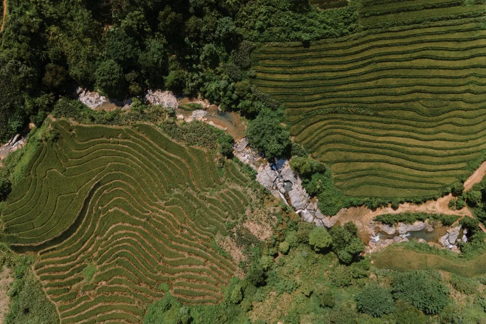 Kho gạo của Nguyễn Thị Chương